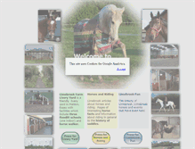 Tablet Screenshot of limebrook.com